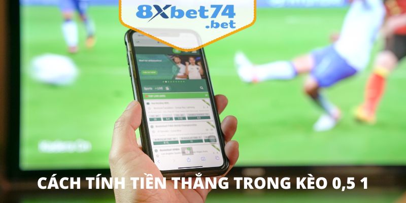 Cách tính tiền thắng trong kèo 0.5 1