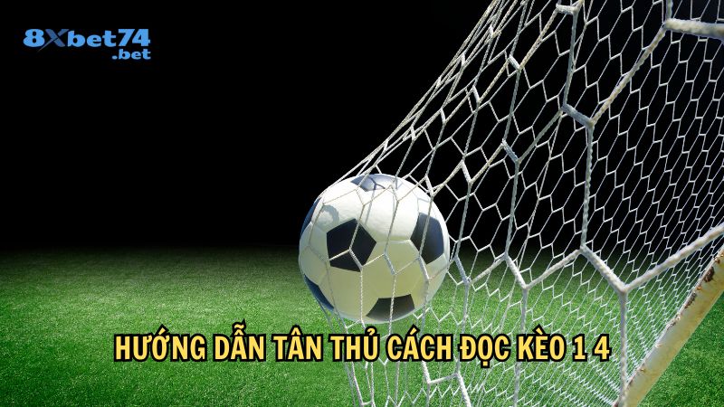 Hướng dẫn tân thủ cách đọc kèo 1 4