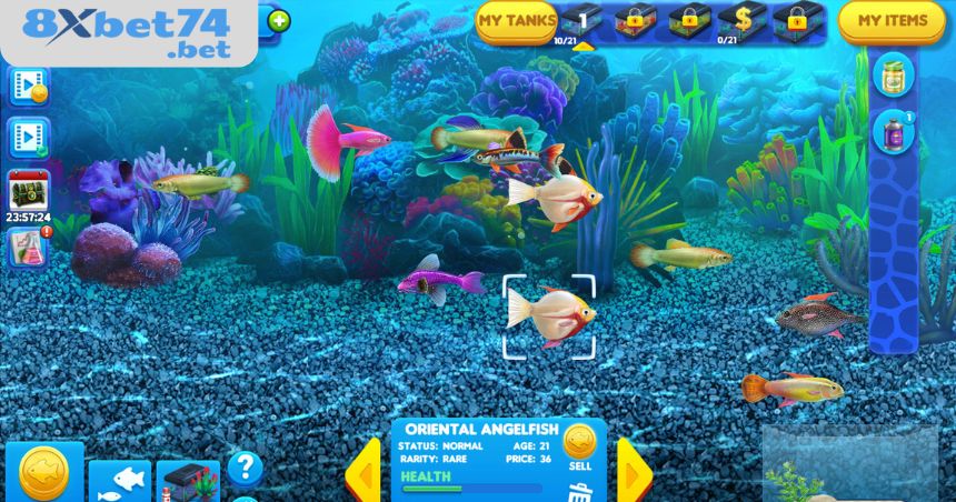 Chinh phục siêu phẩm bắn Fishing Tycoon trên sảnh TP