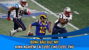 Bóng Bầu Dục Mỹ Và Bí Kíp Cá Cược Cơ Bản