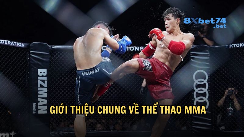 MMA (Mixed Martial Arts) – hay còn gọi là võ thuật tổng hợp