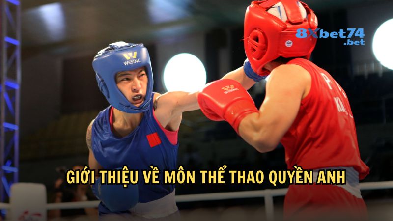 Giới thiệu về môn thể thao Quyền anh