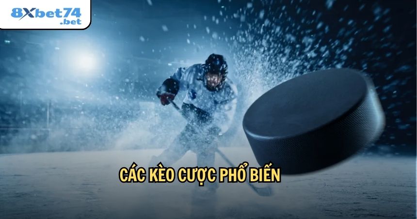 Các kèo cược phổ biến trong khúc côn cầu trên băng