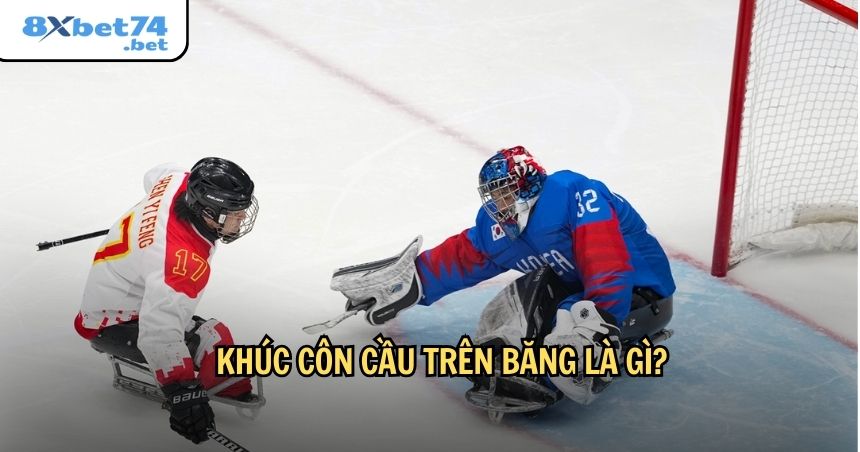 Tìm hiểu chung khúc côn cầu trên băng là gì?