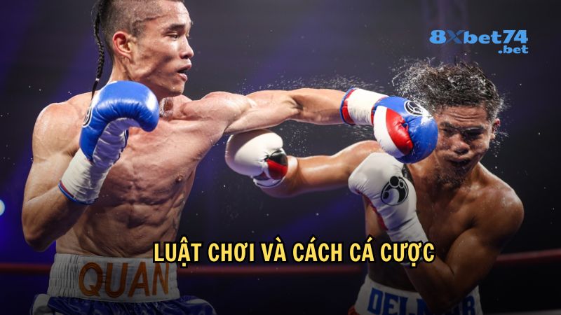 Luật chơi và cách cá cược