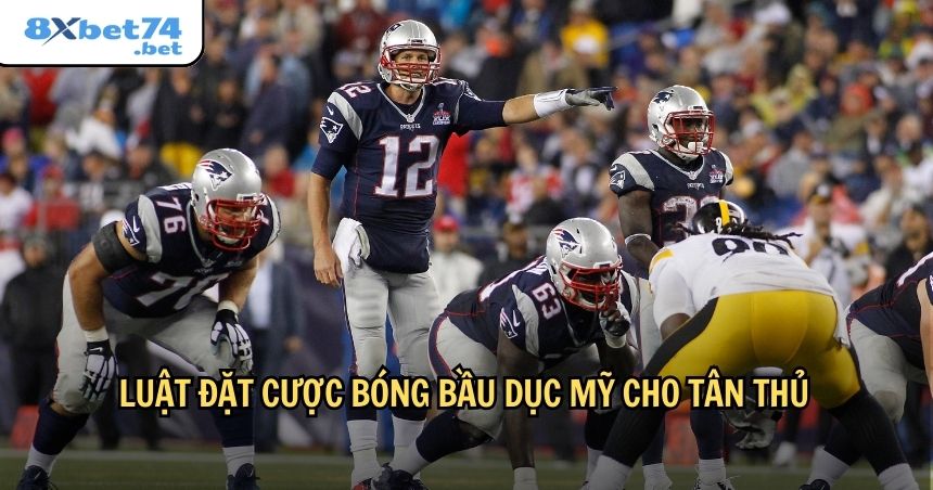 Luật đặt cược bóng bầu dục Mỹ cho tân thủ