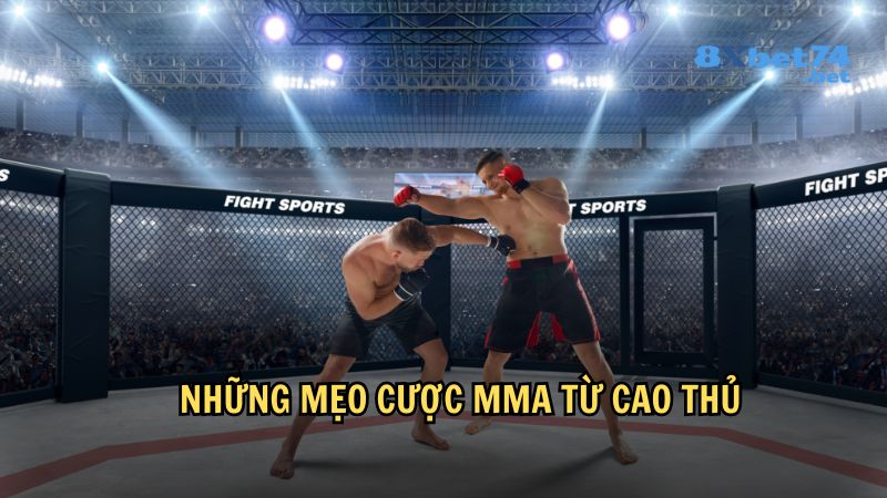 Những mẹo cược MMA từ cao thủ cho người mới